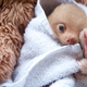 Illustration for article titled Unbelievably Cute Pictures of Rescued Baby Slothsem/emem/em